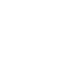Premium Branding & Web Design Services | The Noble Daniel